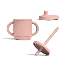 3-in-1 Sippy Cup