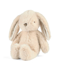 Soft Toys