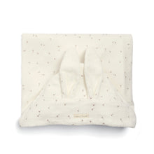 Hooded Baby Towel