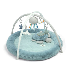 Playmate & Gym - Welcome to the World