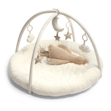 Playmate & Gym - Welcome to the World