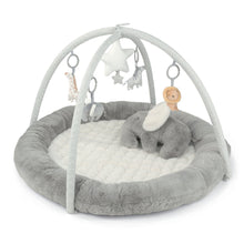 Playmate & Gym - Welcome to the World