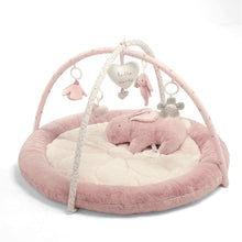 Playmate & Gym - Welcome to the World